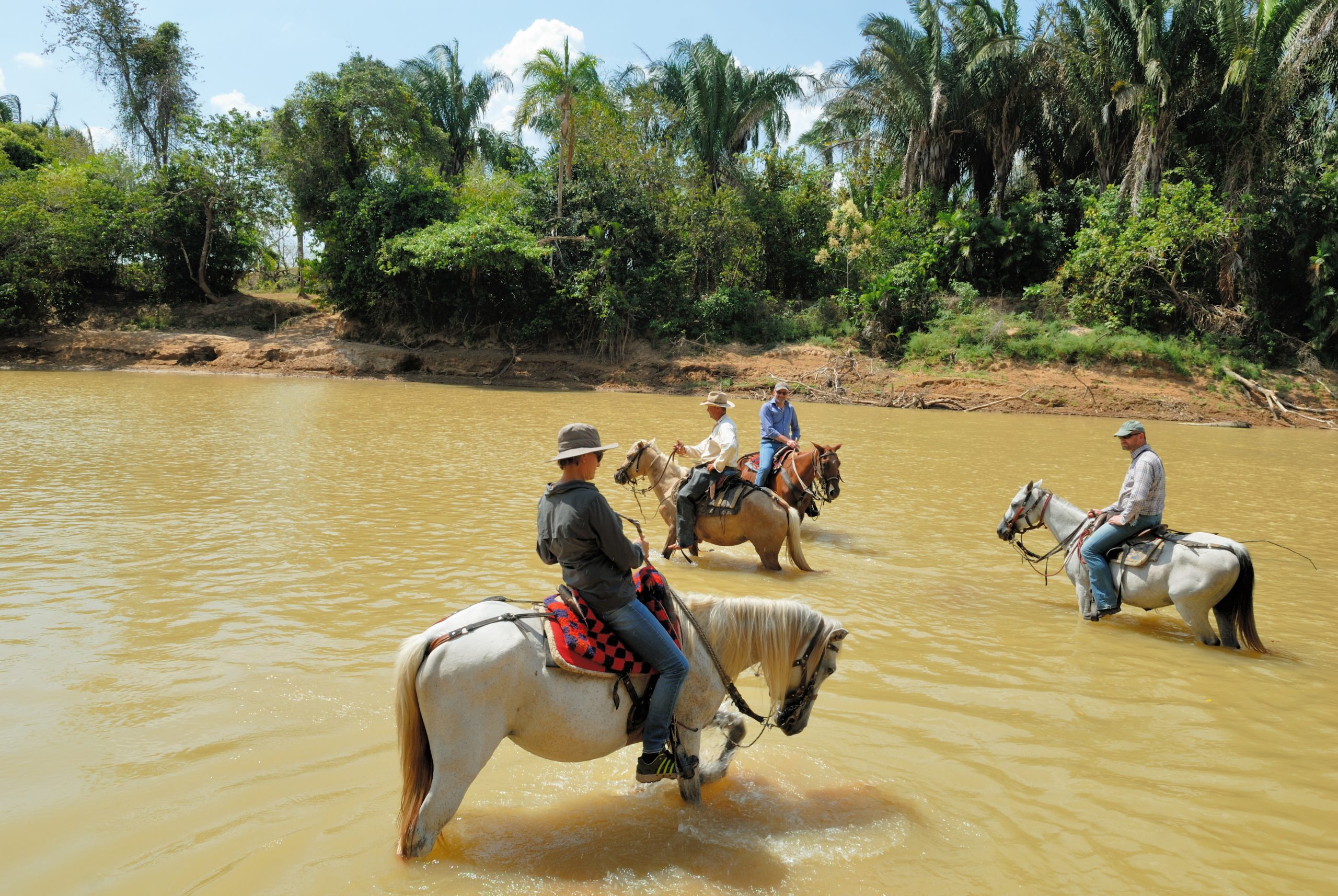 Colombia’s Llanos: Wildlife and Cowboy Culture