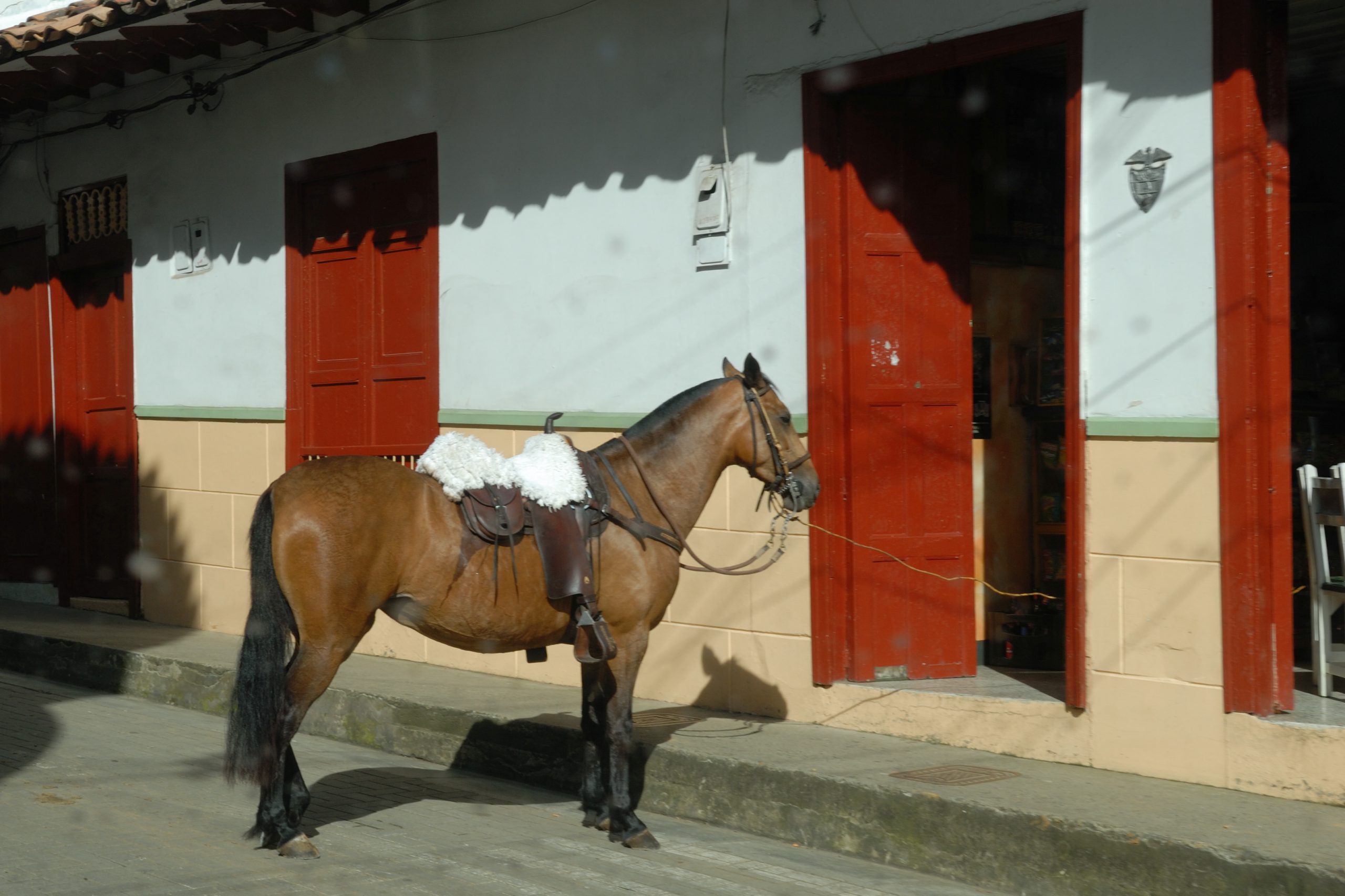 Jericó