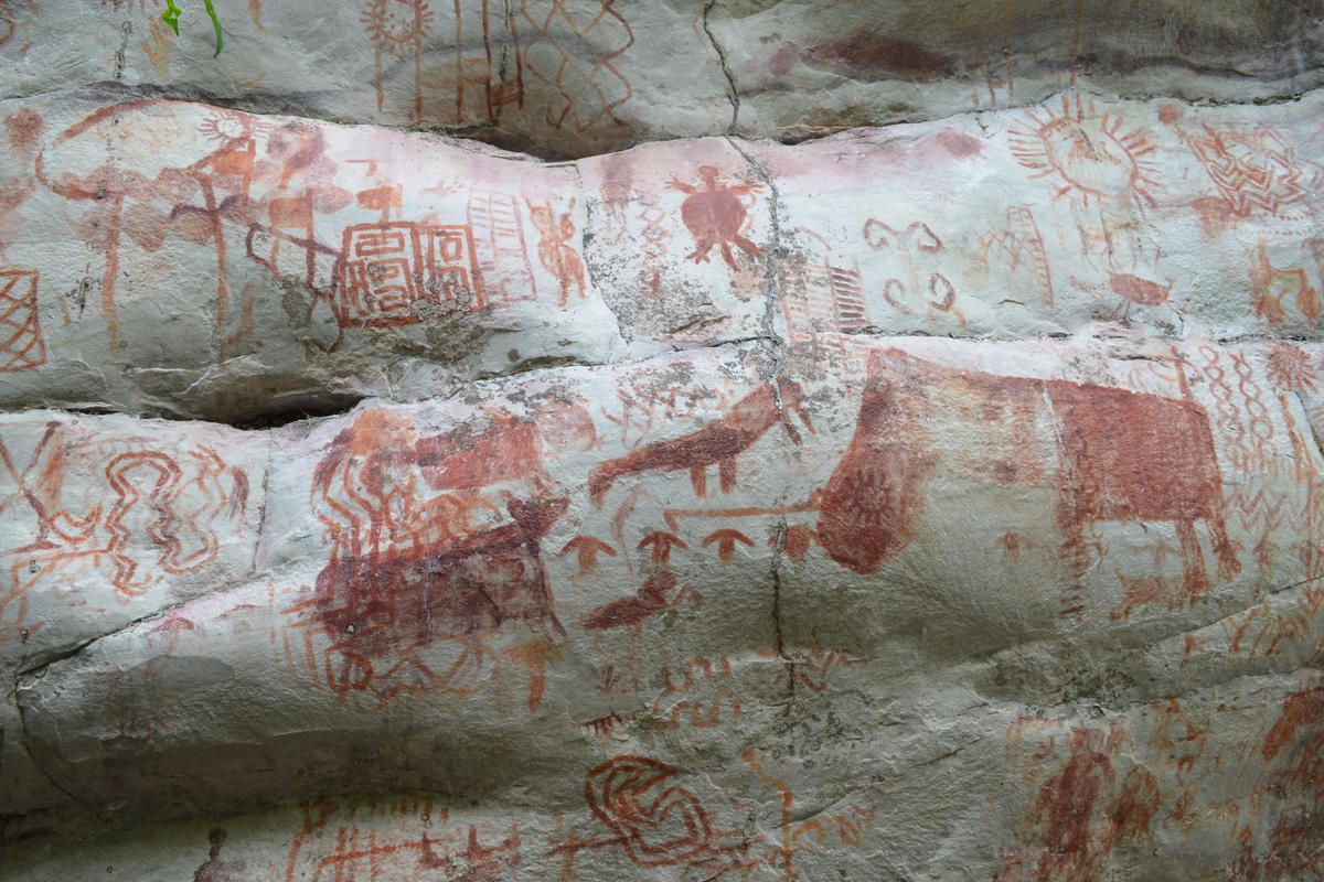 San José del Guaviare | Nature, Archaeology & Adventure
