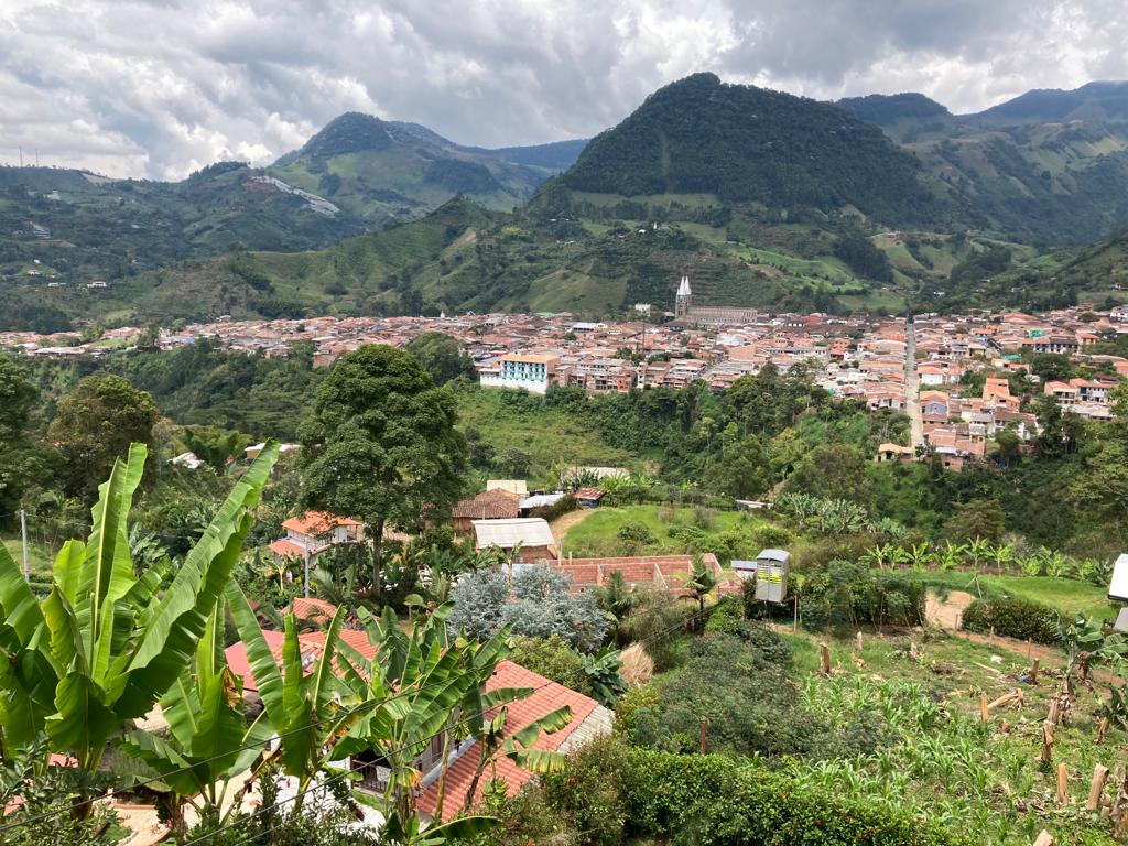 Jardín