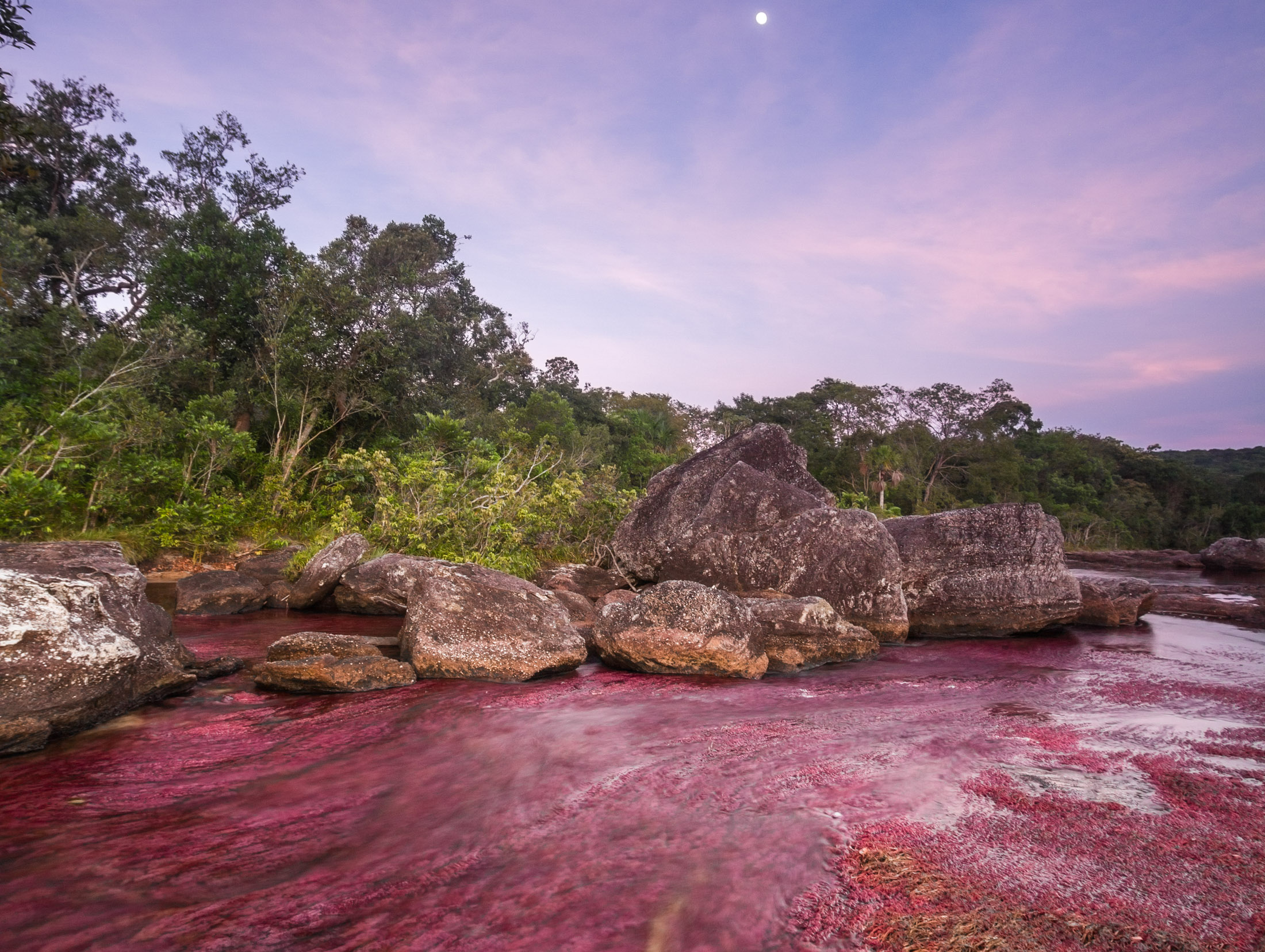 Caño Cristales: Colombia’s River of Five Colours