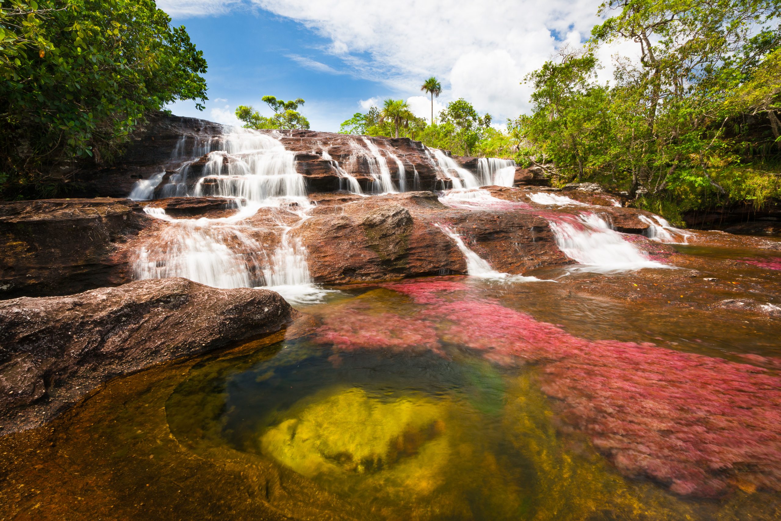 Caño Cristales, La Macarena, Colombia