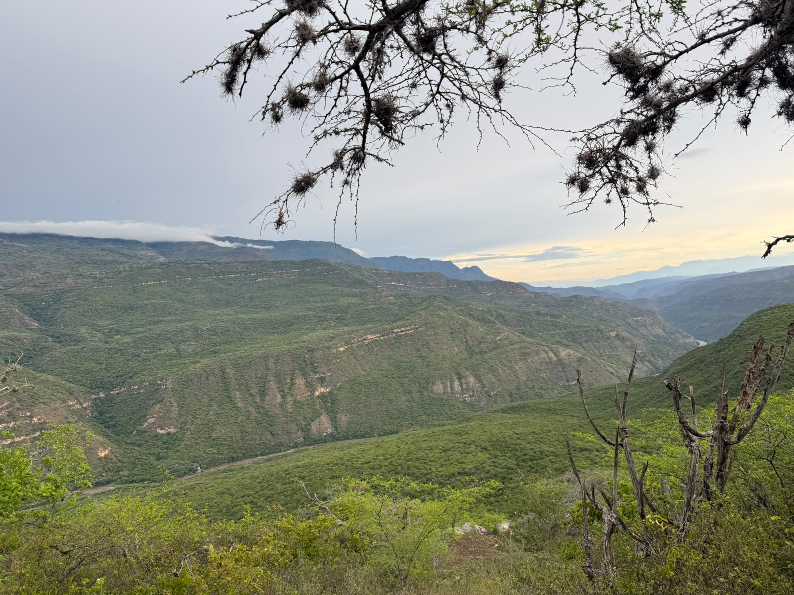 Hiking the Camino de Lengerke